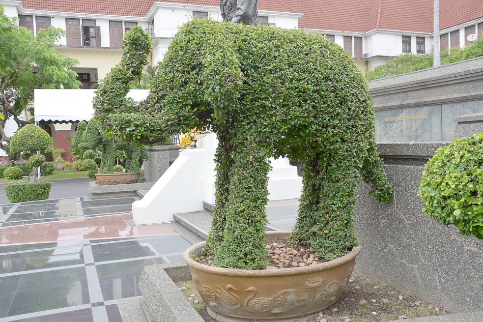 Klipp, klapp Hecke ab So darf man im Garten schneiden