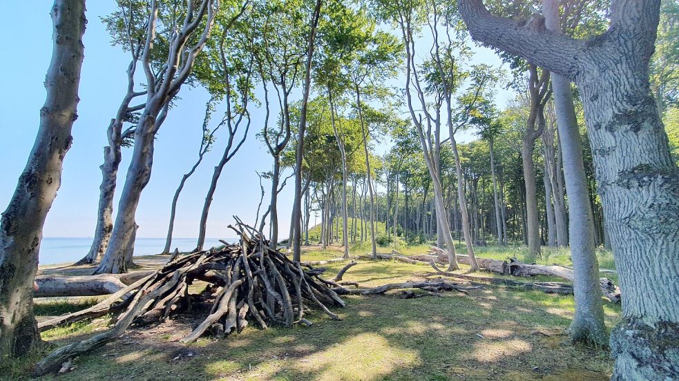 Nienhagen Ostseebad Nienhagen F R Kinder Senioren Und Familien Im