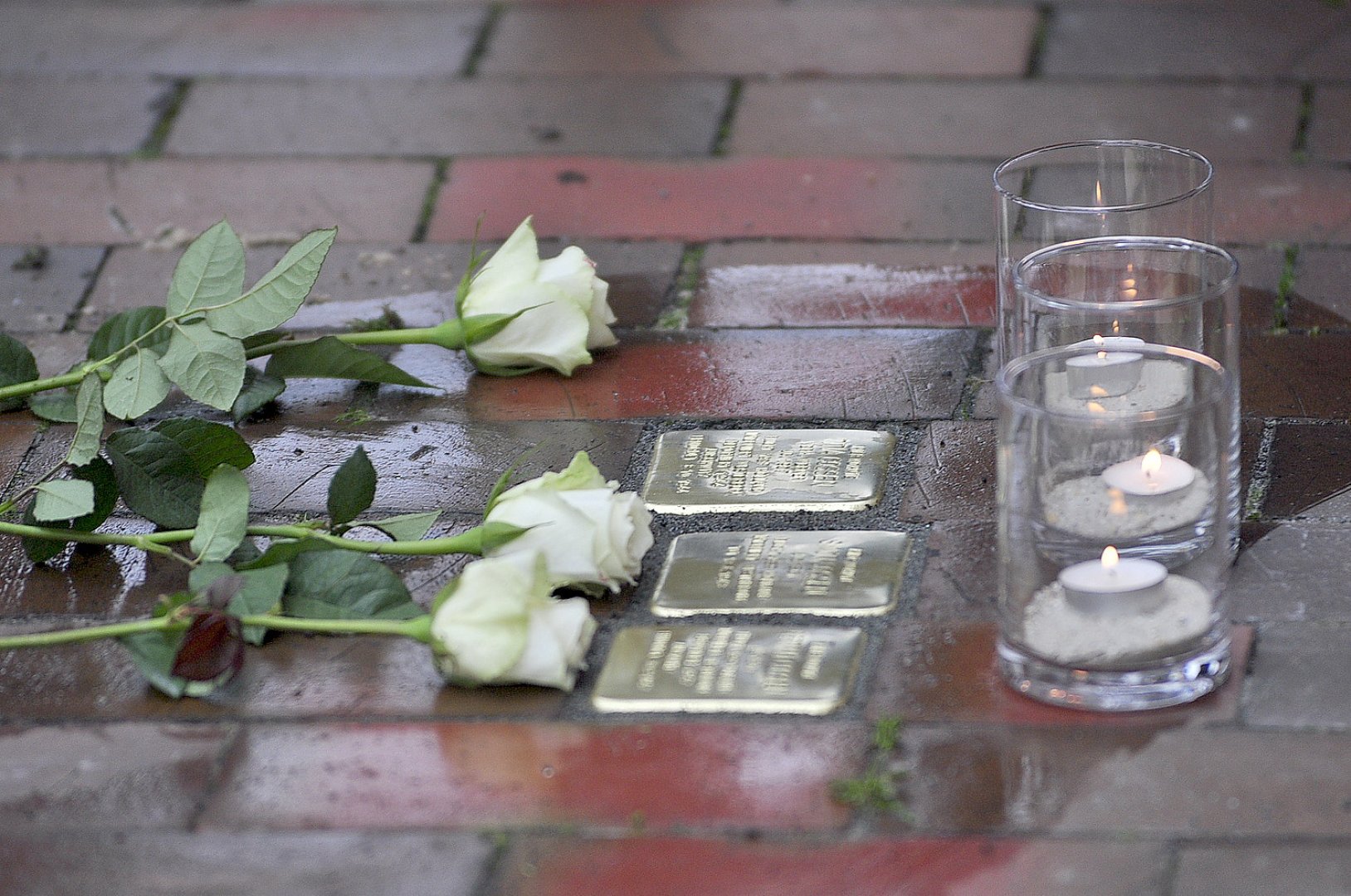 Stolpersteine in Weener und Oldersum verlegt - Bild 1