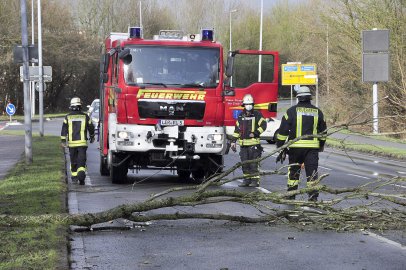 Sturm in Ostfriesland - Bild 3