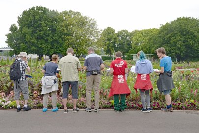 Viel zu erleben auf der Bundesgartenschau in Erfurt - Bild 2