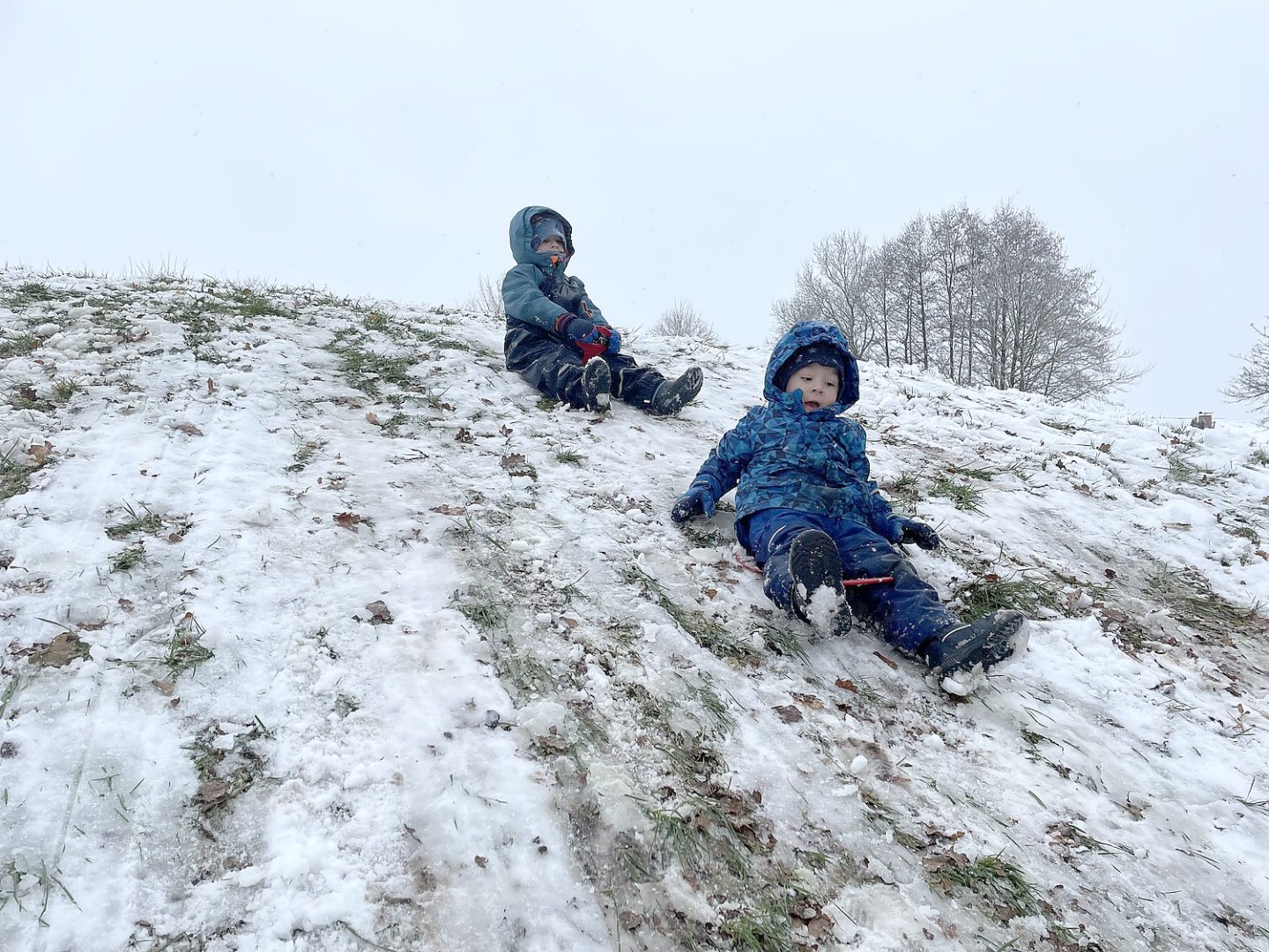 Winter in Ostfriesland - Bild 1