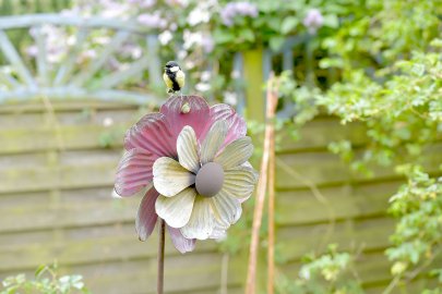 Bienenfreundlicher Garten in Moormerland - Bild 3