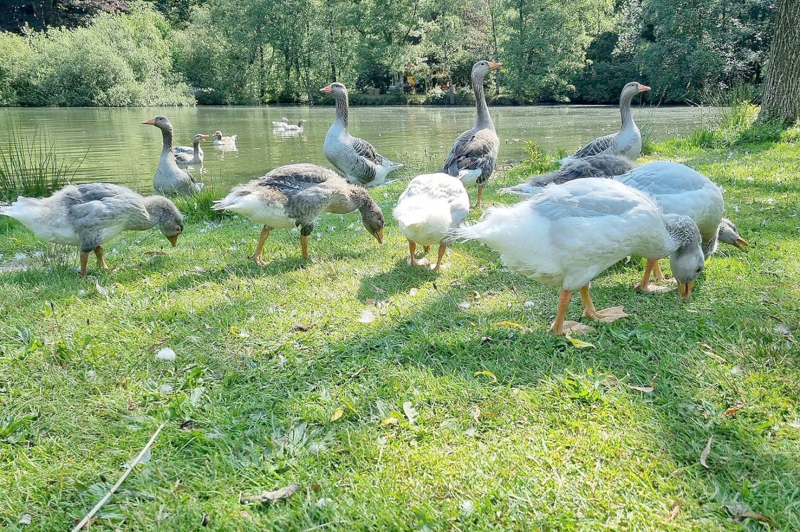 Julianenparkfest in Leer - Bild 5