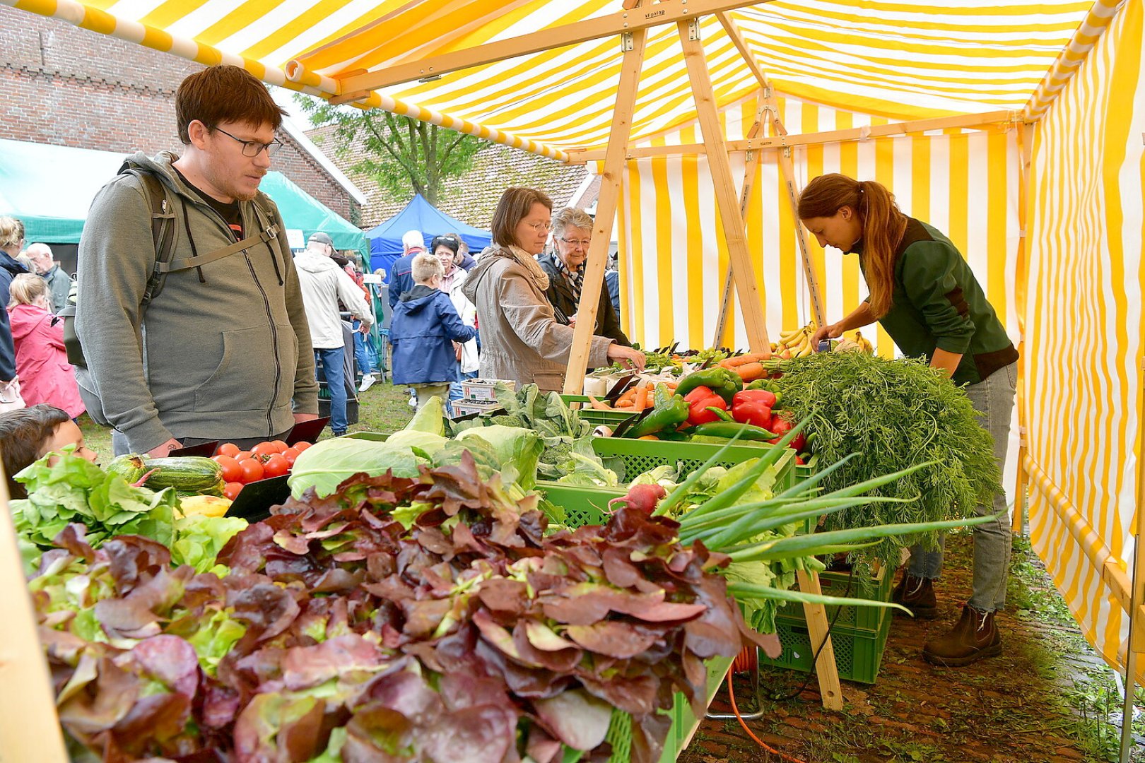 Das war los beim Genussmarkt in Campen - Bild 1