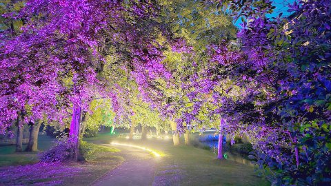 Lüch un Spööl im Leeraner Evenburg-Park - Bild 73