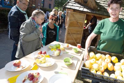 So war's beim Früchtefest in Emden - Bild 3