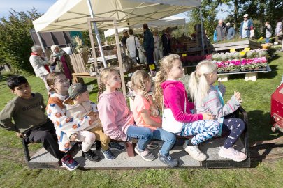 So war's beim Früchtefest in Emden - Bild 27