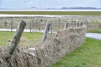 Wasserstände: Fotos aus dem Kreis Leer - Bild 10