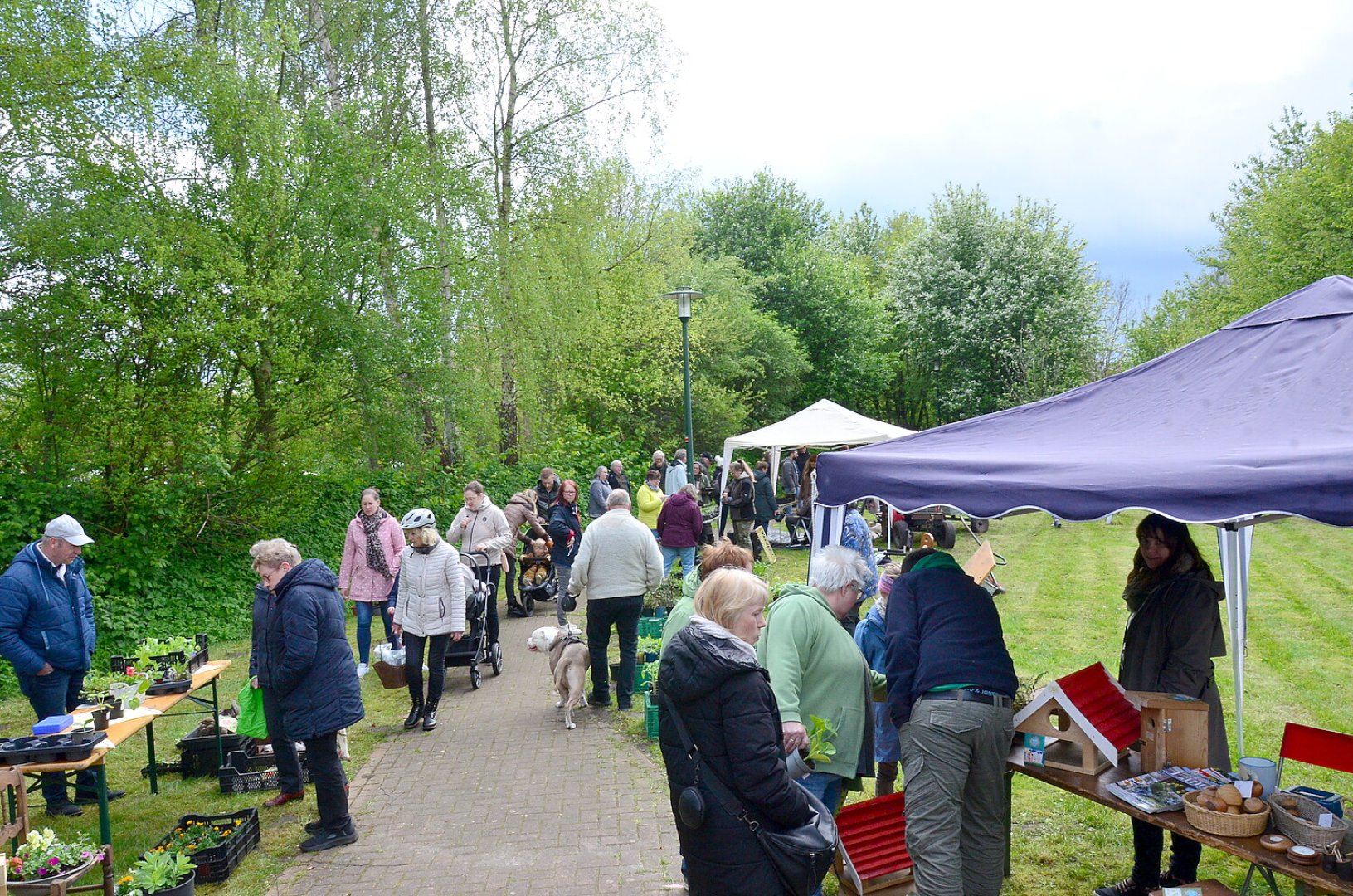 Planten- un Blomenmarkt Oltmannsfehn/Ockenhausen - Bild 3