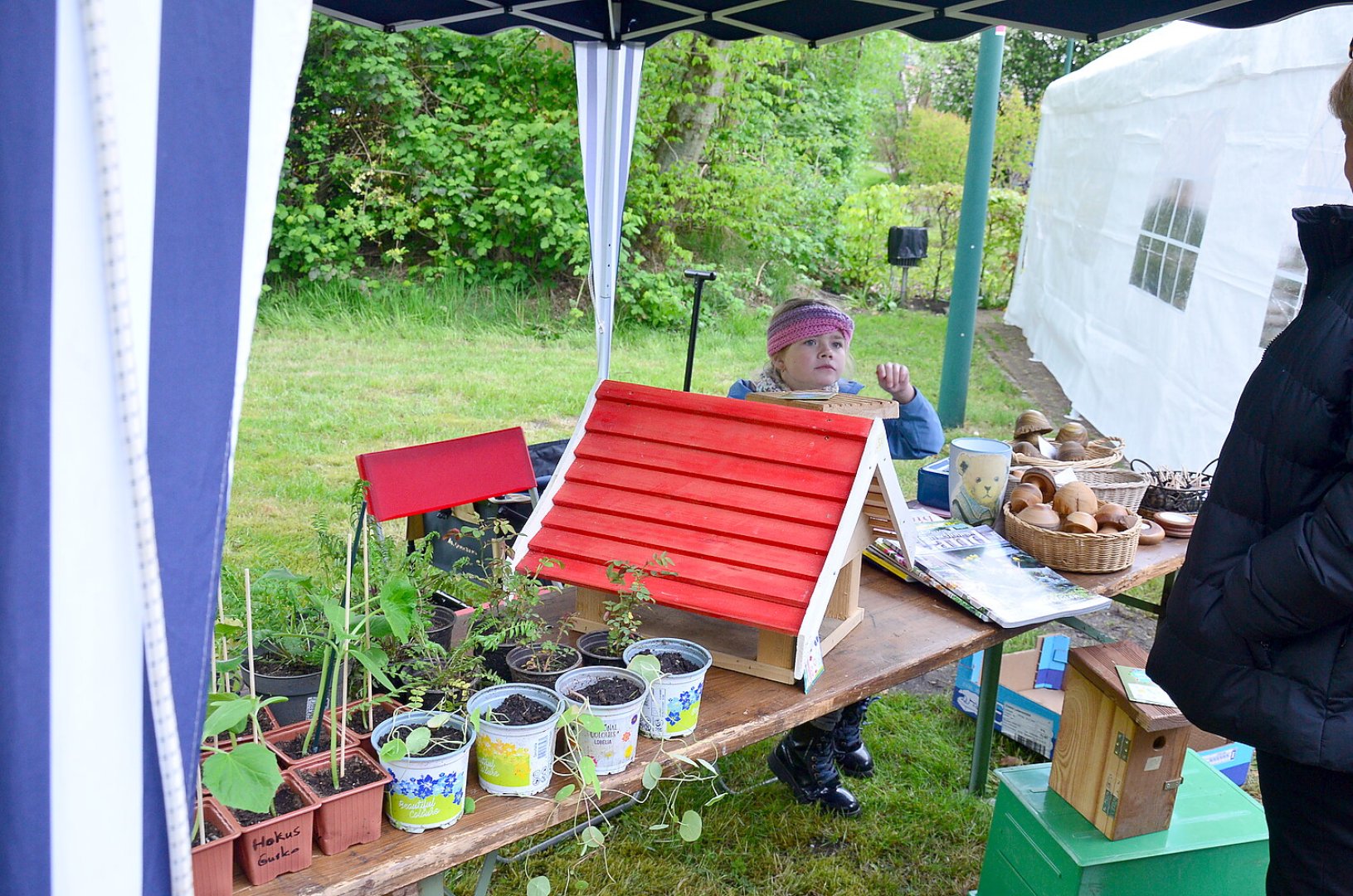 Planten- un Blomenmarkt Oltmannsfehn/Ockenhausen - Bild 5