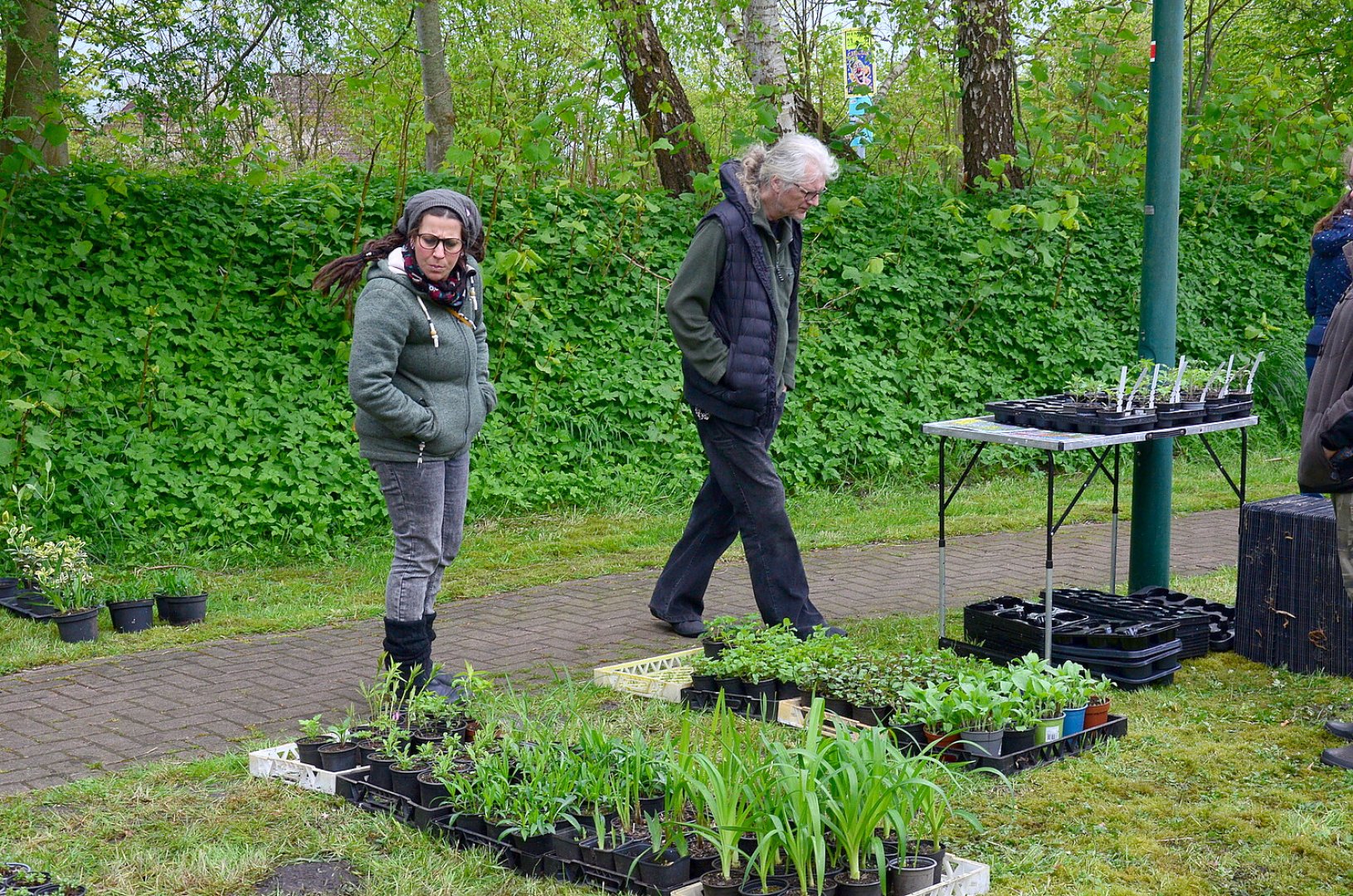 Planten- un Blomenmarkt Oltmannsfehn/Ockenhausen - Bild 6