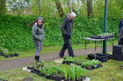 Planten- un Blomenmarkt Oltmannsfehn/Ockenhausen - Bild 6