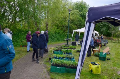 Planten- un Blomenmarkt Oltmannsfehn/Ockenhausen - Bild 10