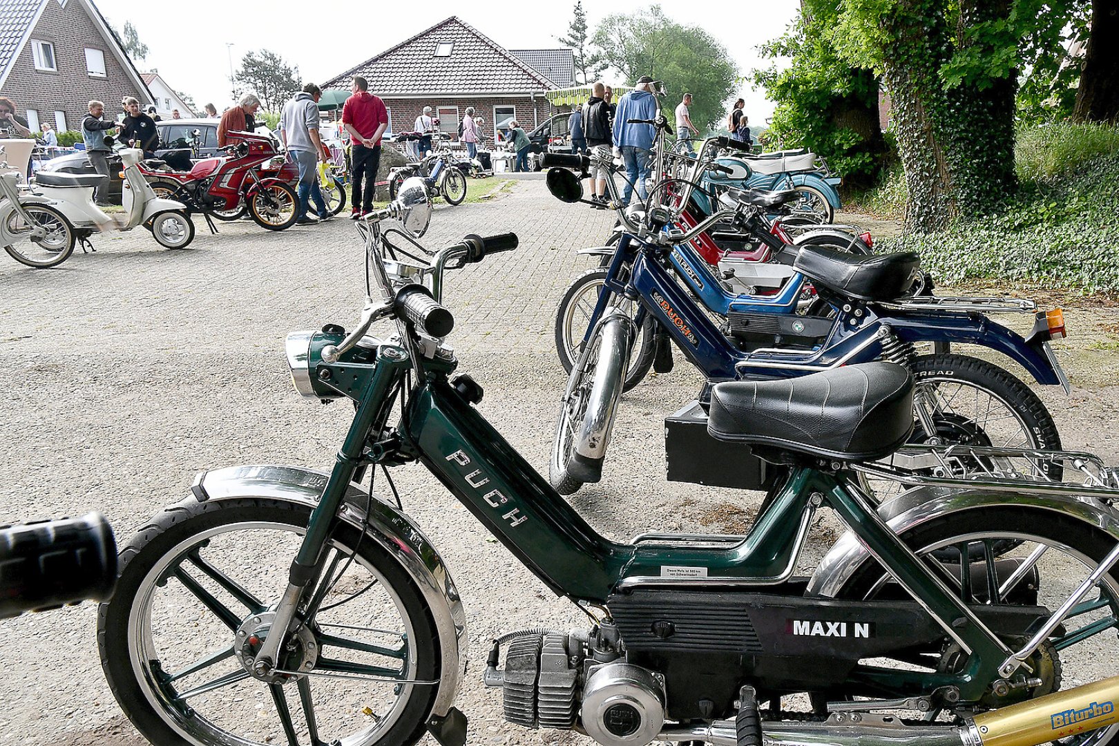 Bummeln und Feilschen beim Flohmarkt in Schwerinsdorf - Bild 1