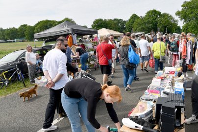 Bummeln und Feilschen beim Flohmarkt in Schwerinsdorf - Bild 25