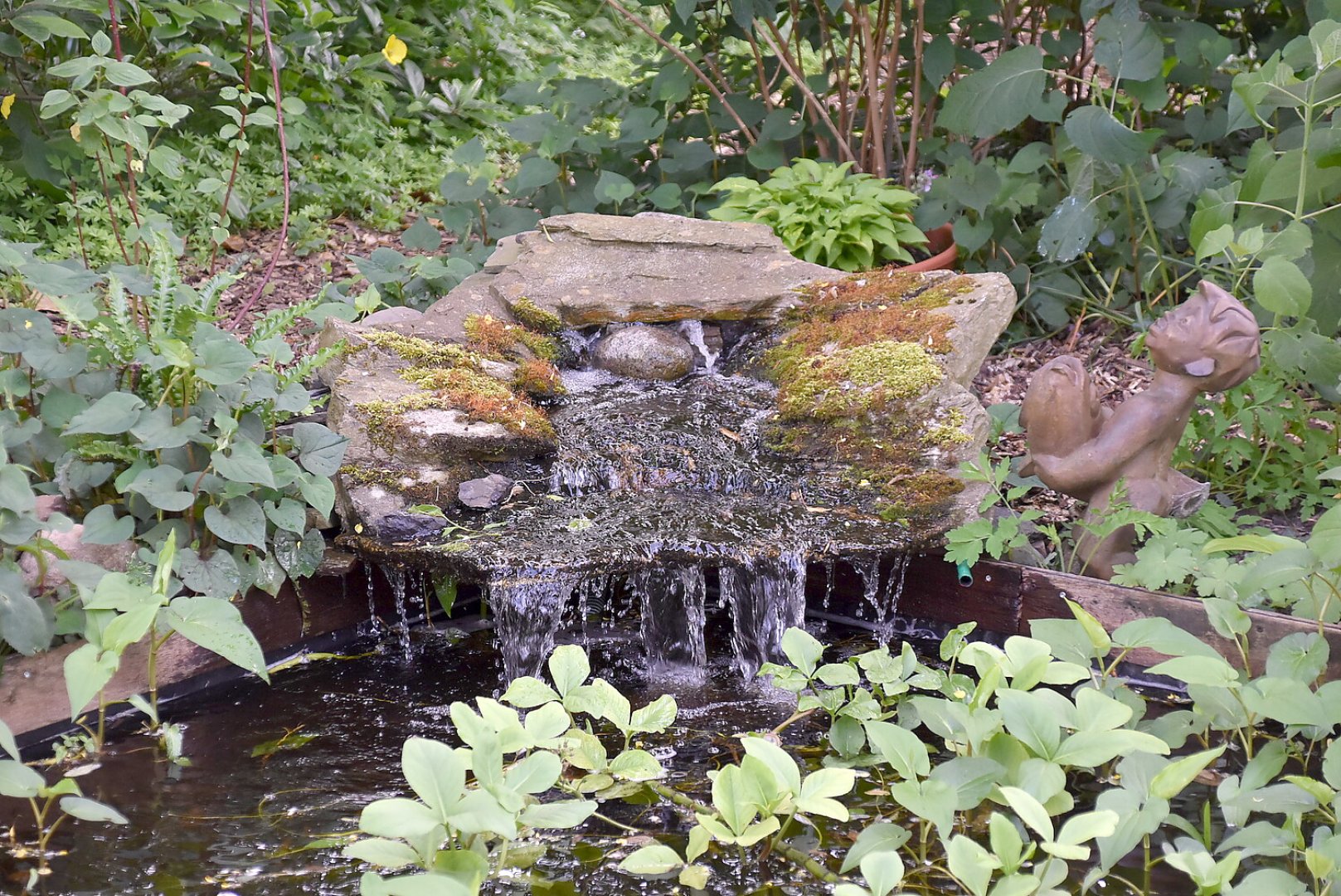 Gartentag in Ostfriesland - Bild 1