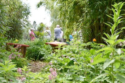 Gartentag in Ostfriesland - Bild 15