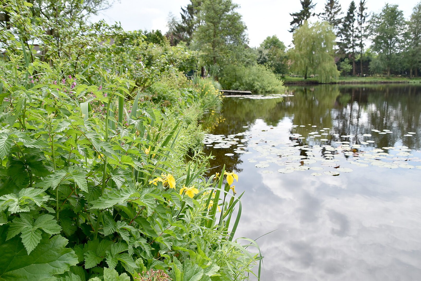 Gartentag in Ostfriesland - Bild 18