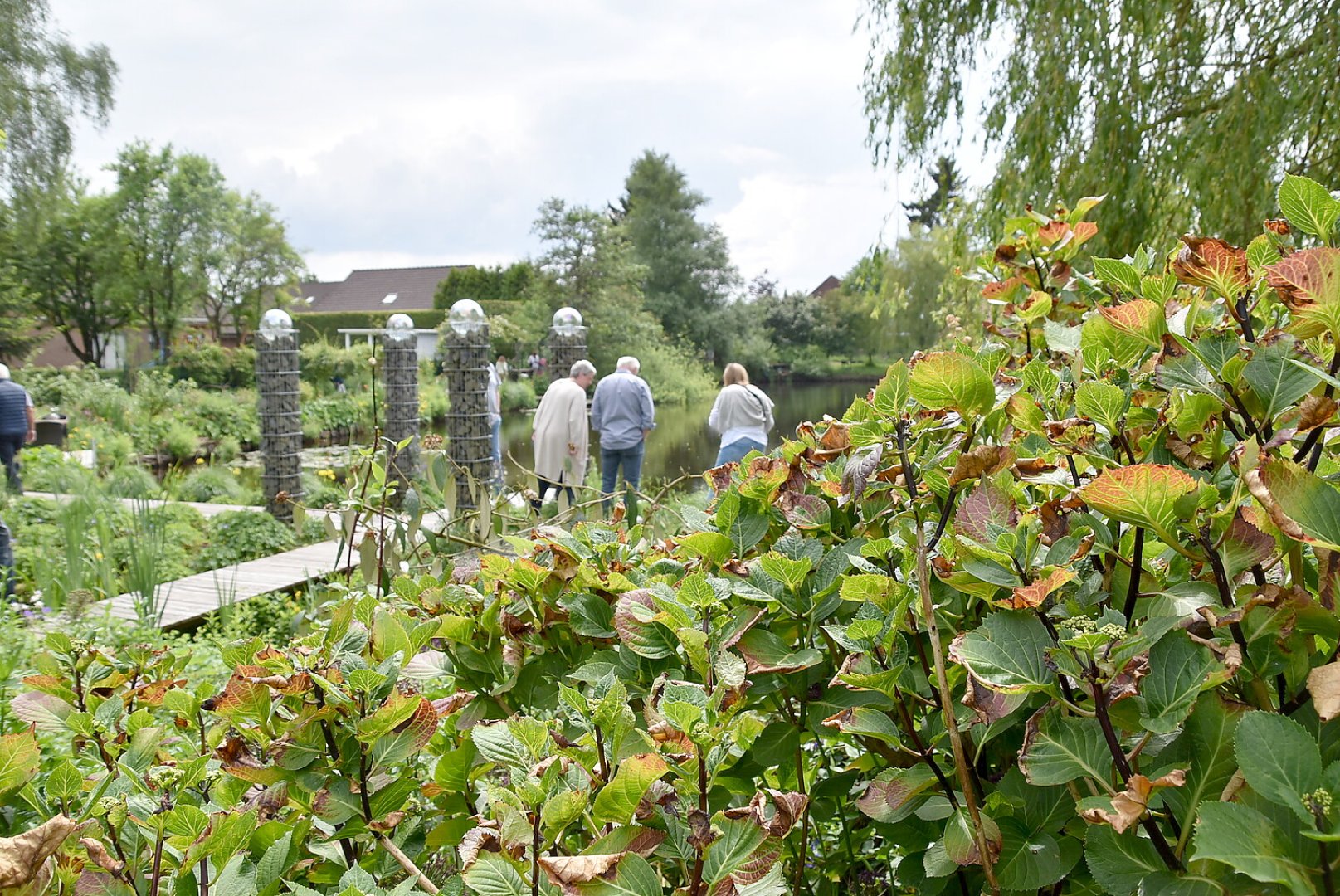 Gartentag in Ostfriesland - Bild 19