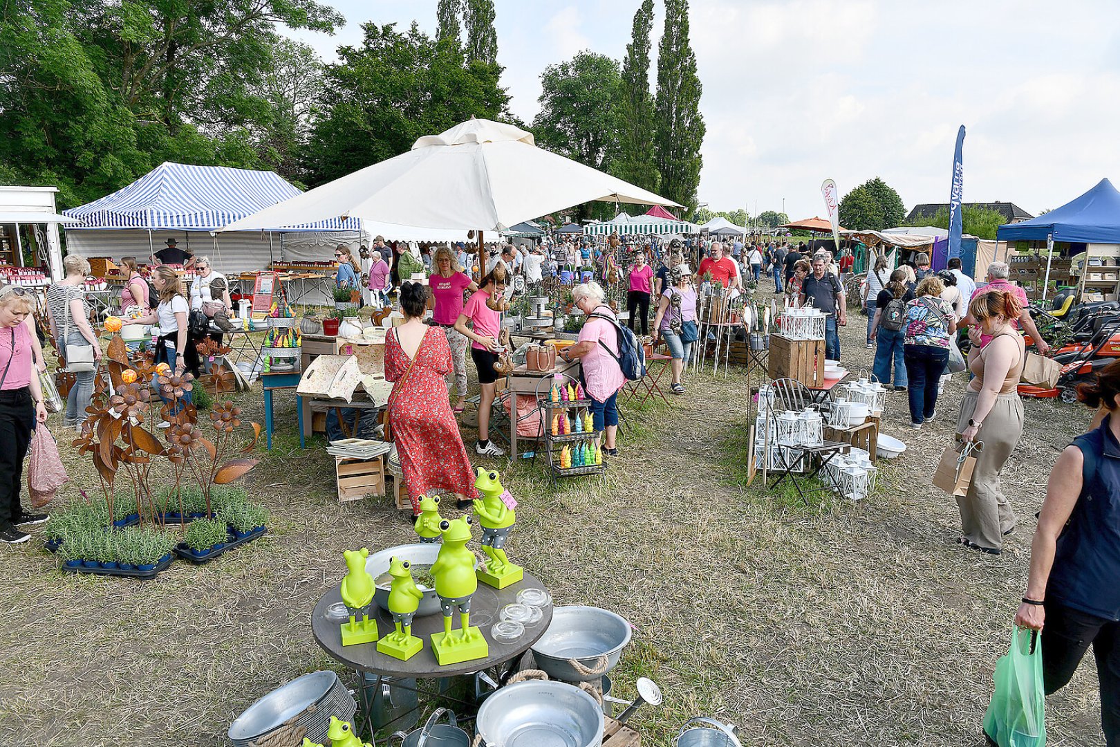 Burggarten Stickhausen lockt viele Gäste - Bild 35