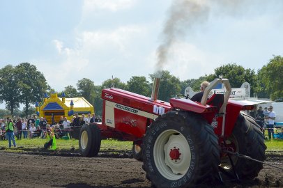 Erster Trecker-Treck in Wittensand - Bild 31