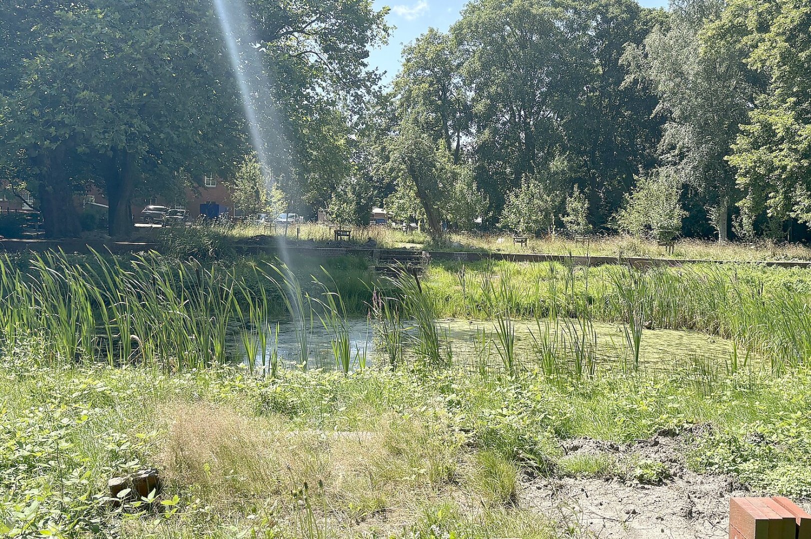 So schön ist der Cassenspark in Larrelt - Bild 26