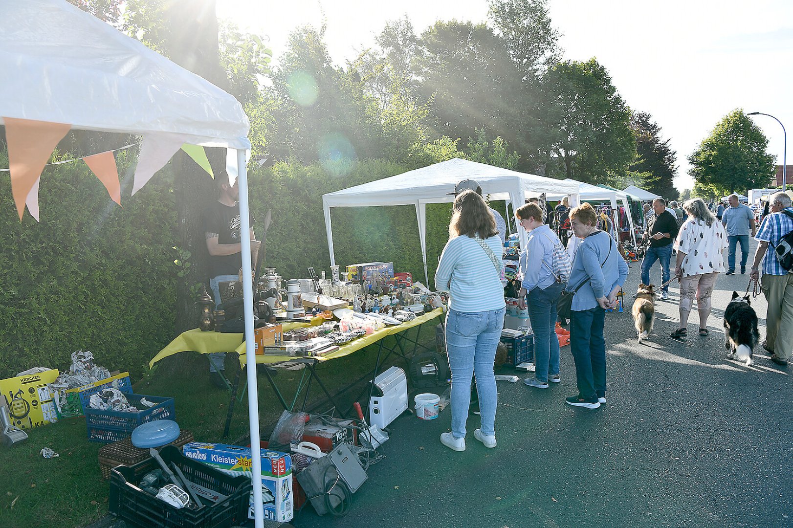 Jannburger Weg in Wiesmoor wurde zur Flohmarktmeile - Bild 1