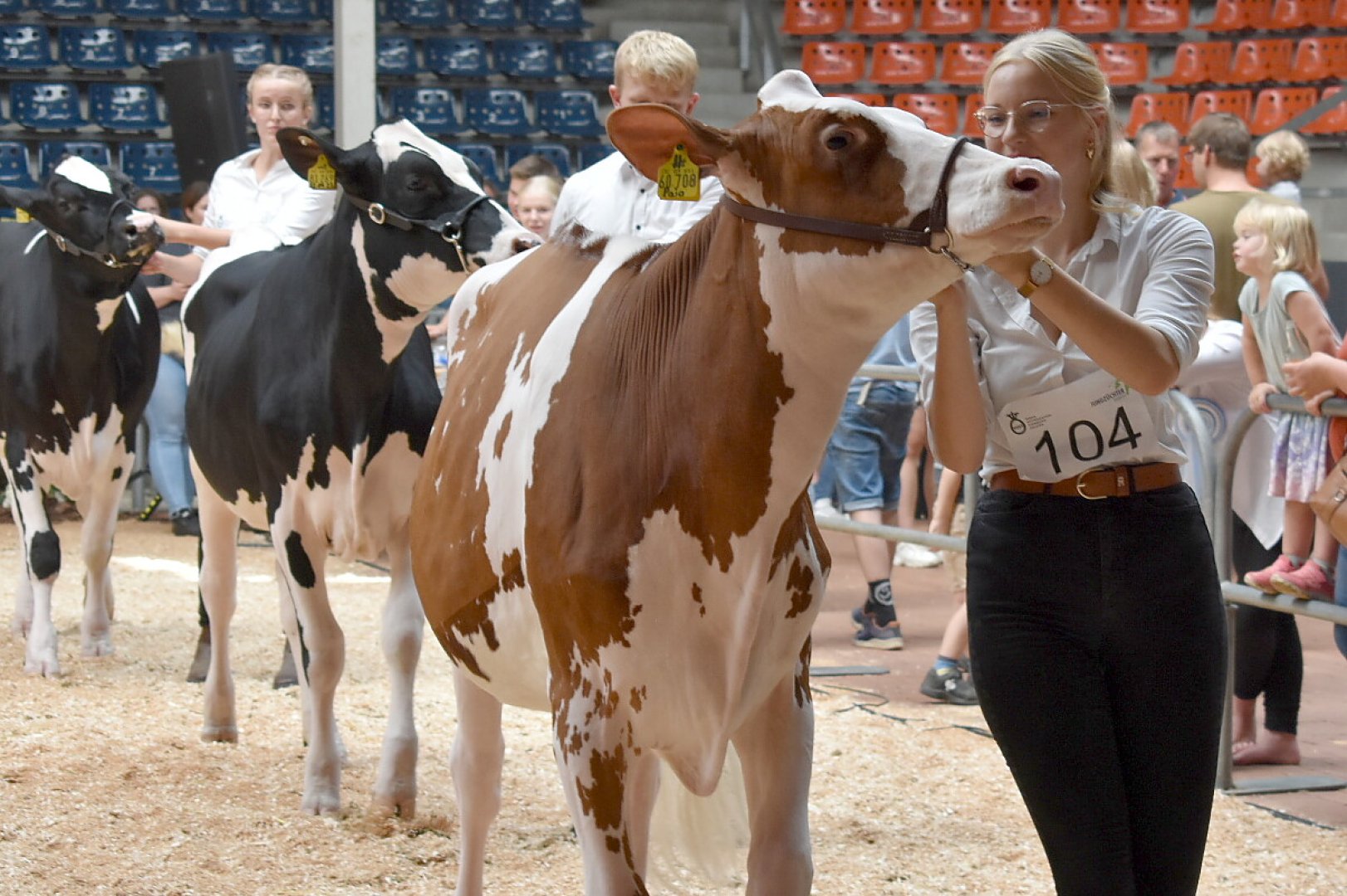 Jungzüchterwettbewerb Leer - Bild 1