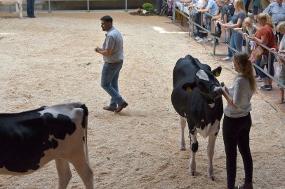 Jungzüchterwettbewerb Leer - Bild 29