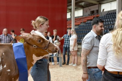 Jungzüchterwettbewerb Leer - Bild 47