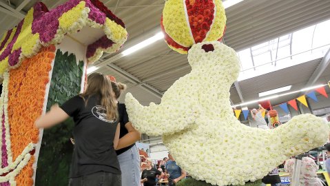 Wahl des Königshauses beim Blütenfest - Bild 7