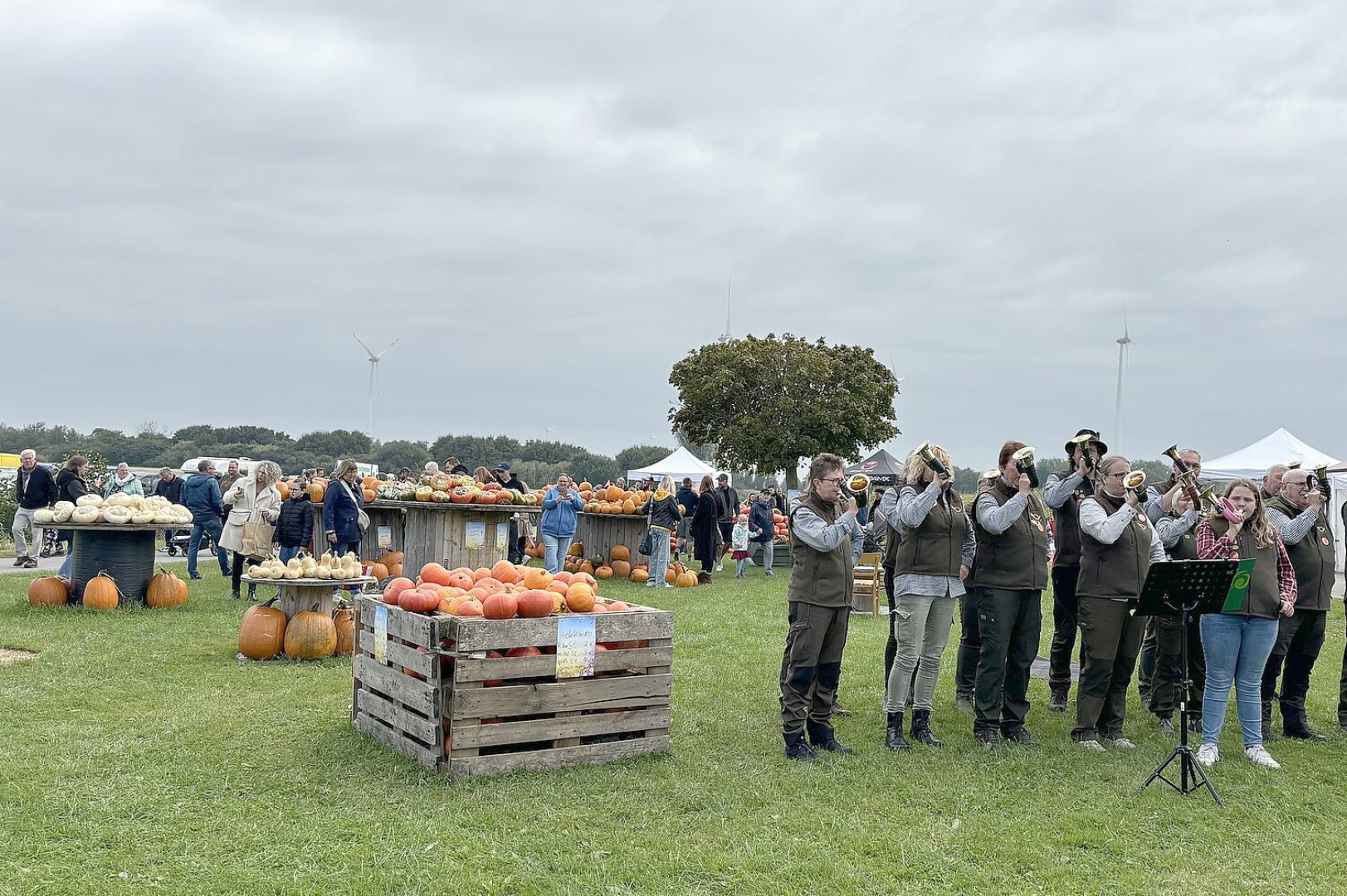 Eindrücke vom Kürbismarkt in Emden - Bild 1