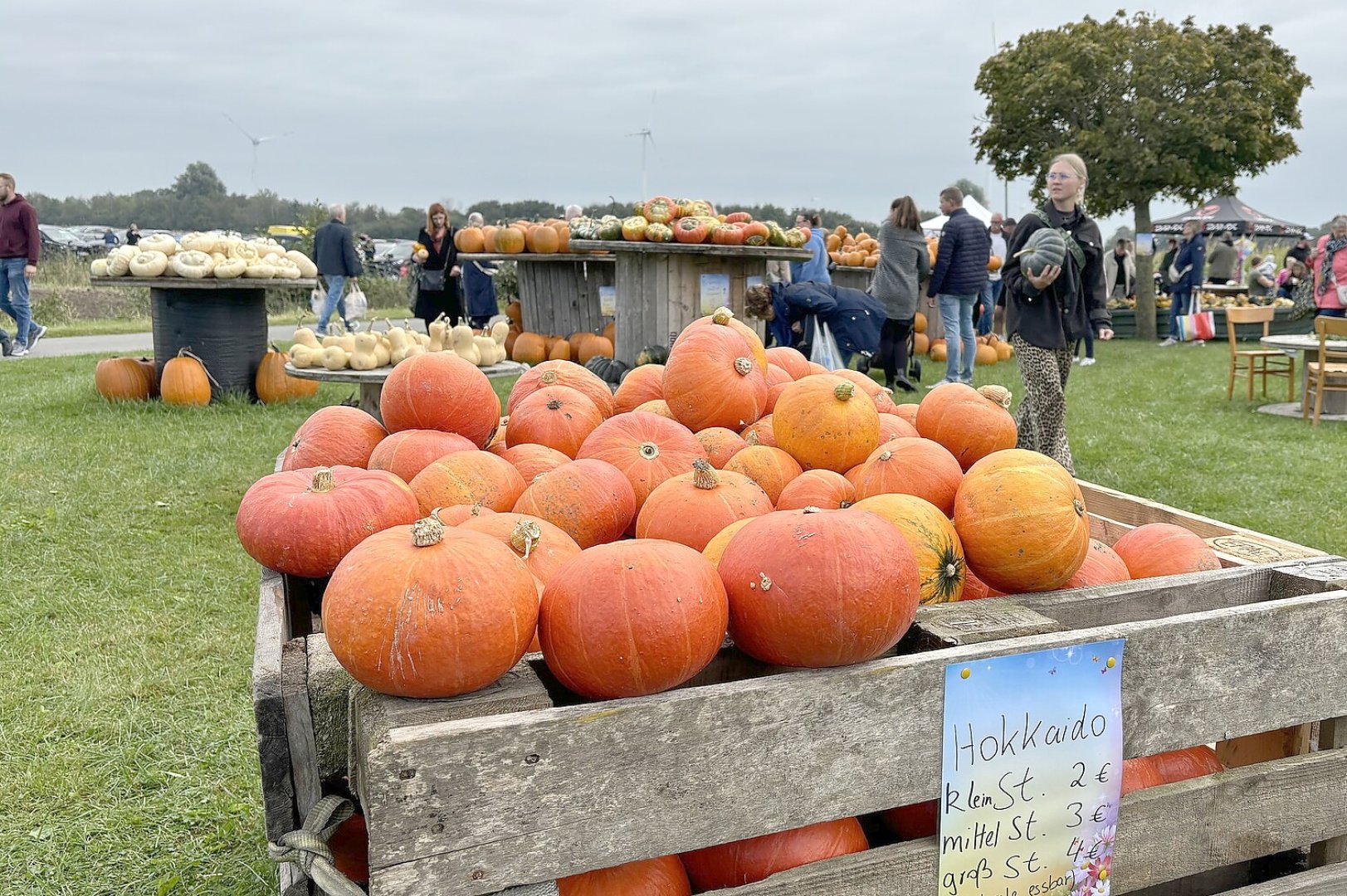 Eindrücke vom Kürbismarkt in Emden - Bild 3