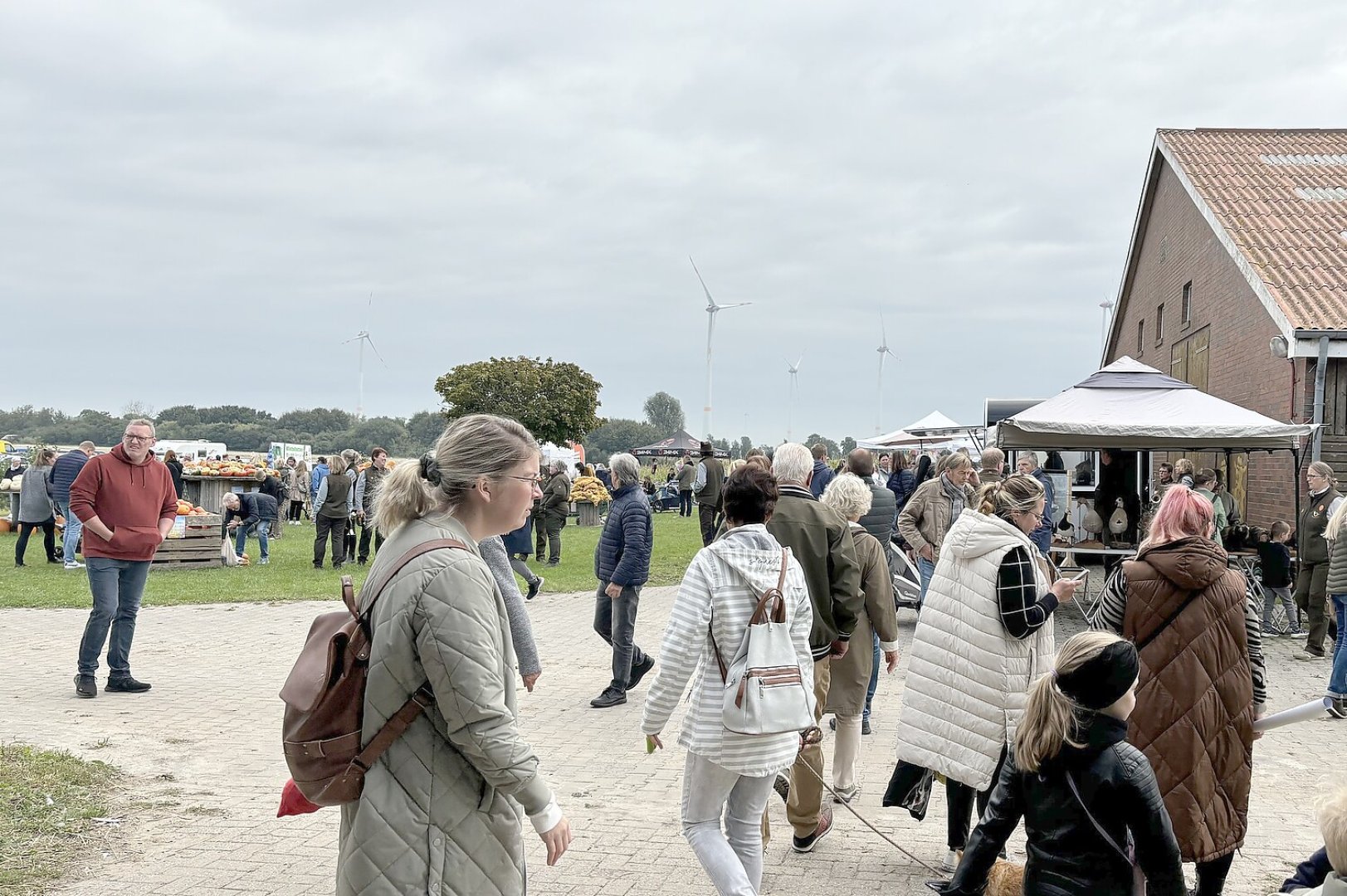 Eindrücke vom Kürbismarkt in Emden - Bild 4