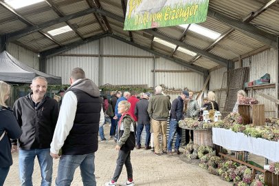 Eindrücke vom Kürbismarkt in Emden - Bild 8