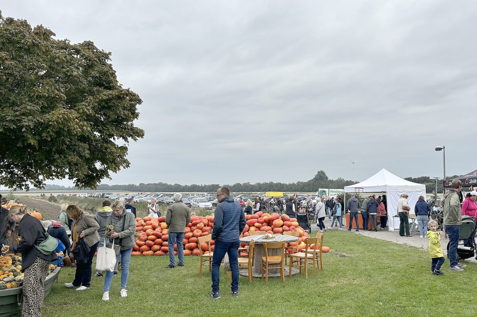 Eindrücke vom Kürbismarkt in Emden - Bild 13