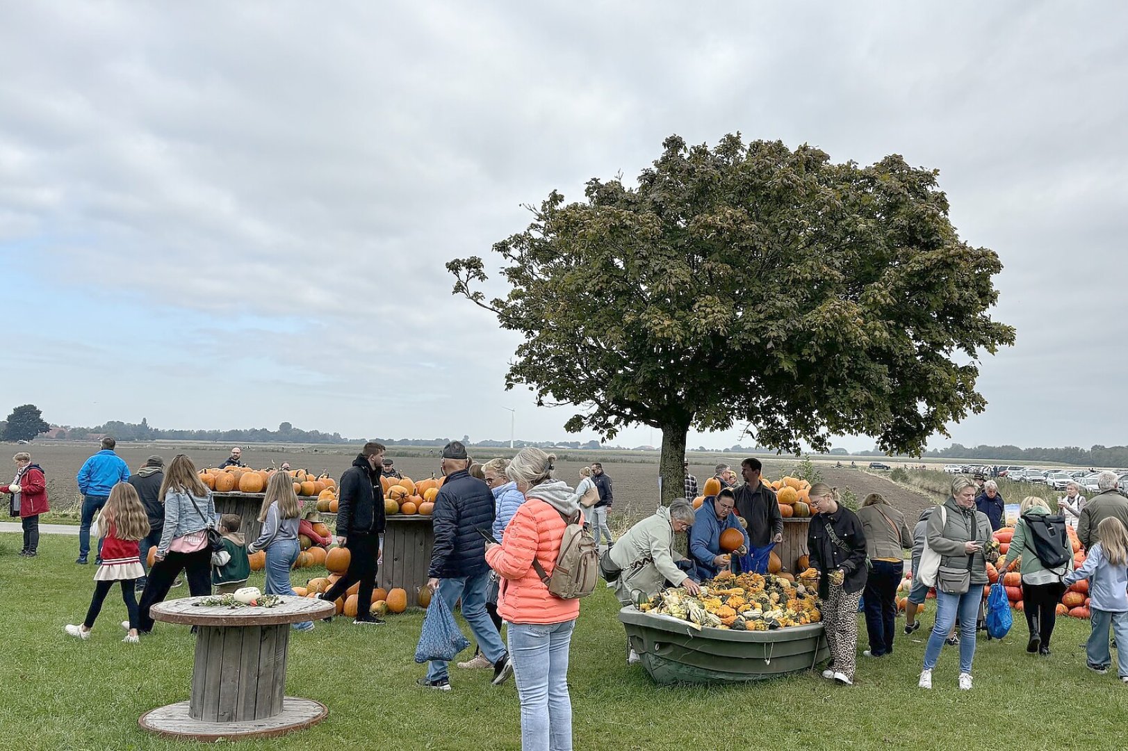 Eindrücke vom Kürbismarkt in Emden - Bild 14