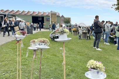 Eindrücke vom Kürbismarkt in Emden - Bild 17