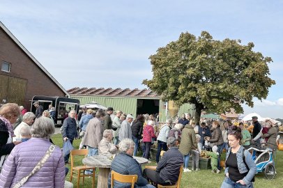 Eindrücke vom Kürbismarkt in Emden - Bild 18