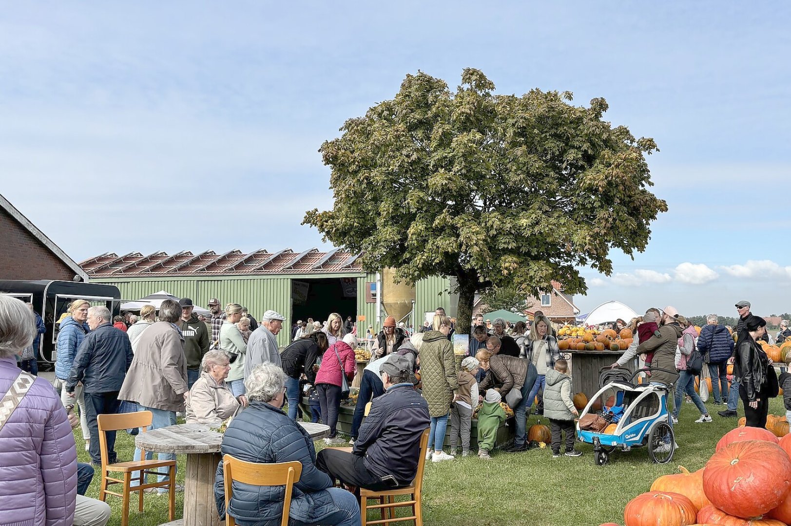 Eindrücke vom Kürbismarkt in Emden - Bild 19