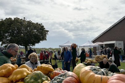 Eindrücke vom Kürbismarkt in Emden - Bild 20