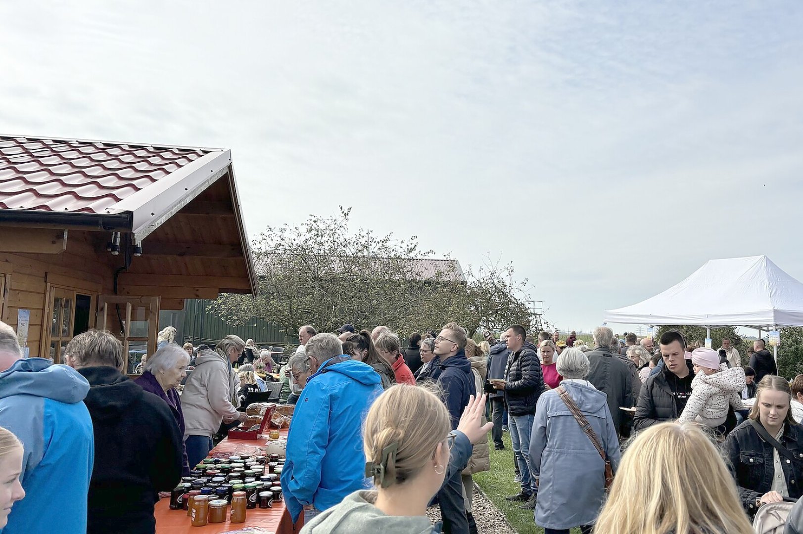 Eindrücke vom Kürbismarkt in Emden - Bild 23