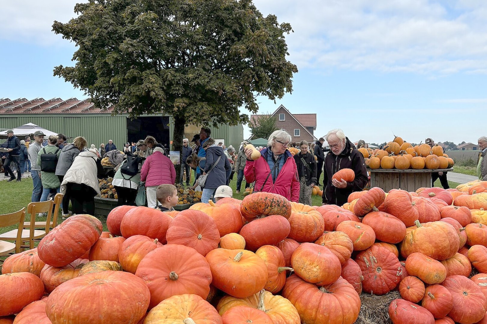 Eindrücke vom Kürbismarkt in Emden - Bild 28