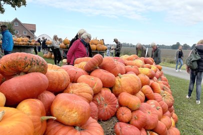 Eindrücke vom Kürbismarkt in Emden - Bild 29