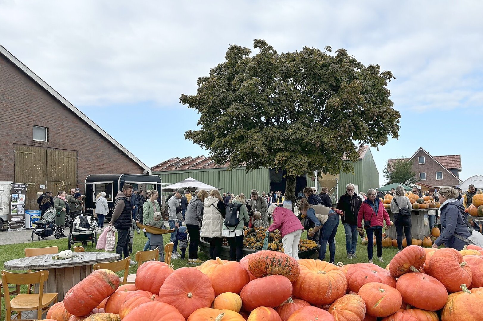 Eindrücke vom Kürbismarkt in Emden - Bild 30