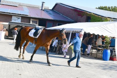 Reitturnier in Greetsiel - Bild 31