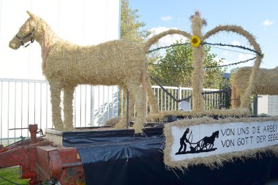 79 Wagen bei Ernteumzug in Völlenerkönigsfehn - Bild 36