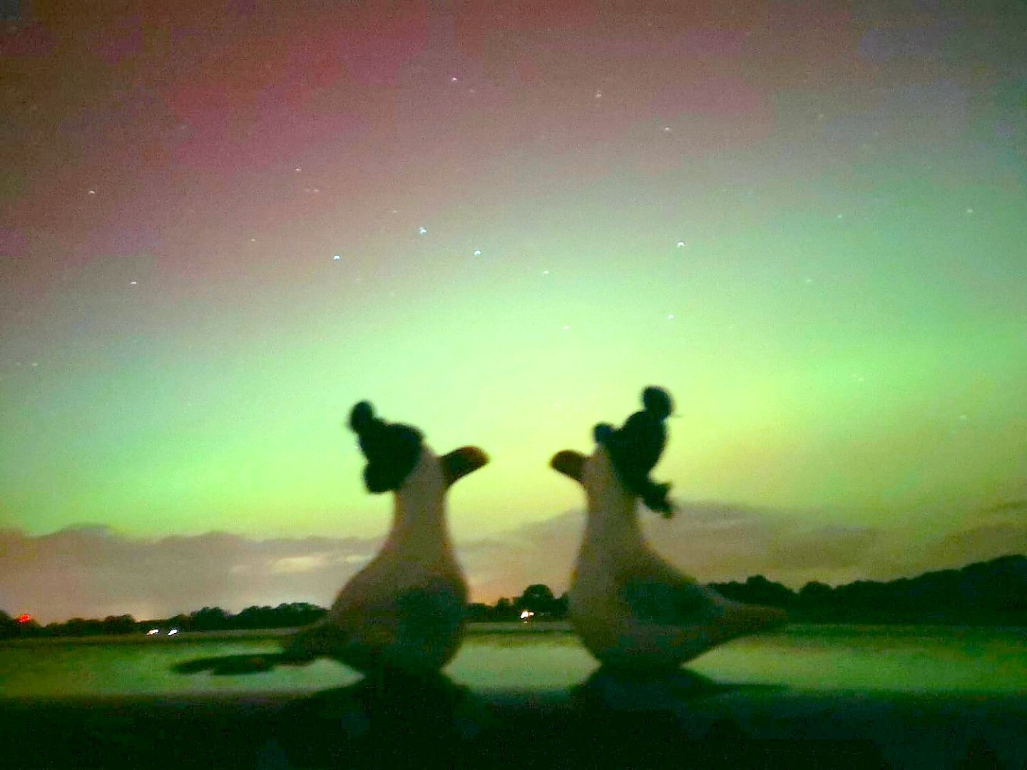 Die schönsten Polarlichter der letzten Nacht - Bild 8