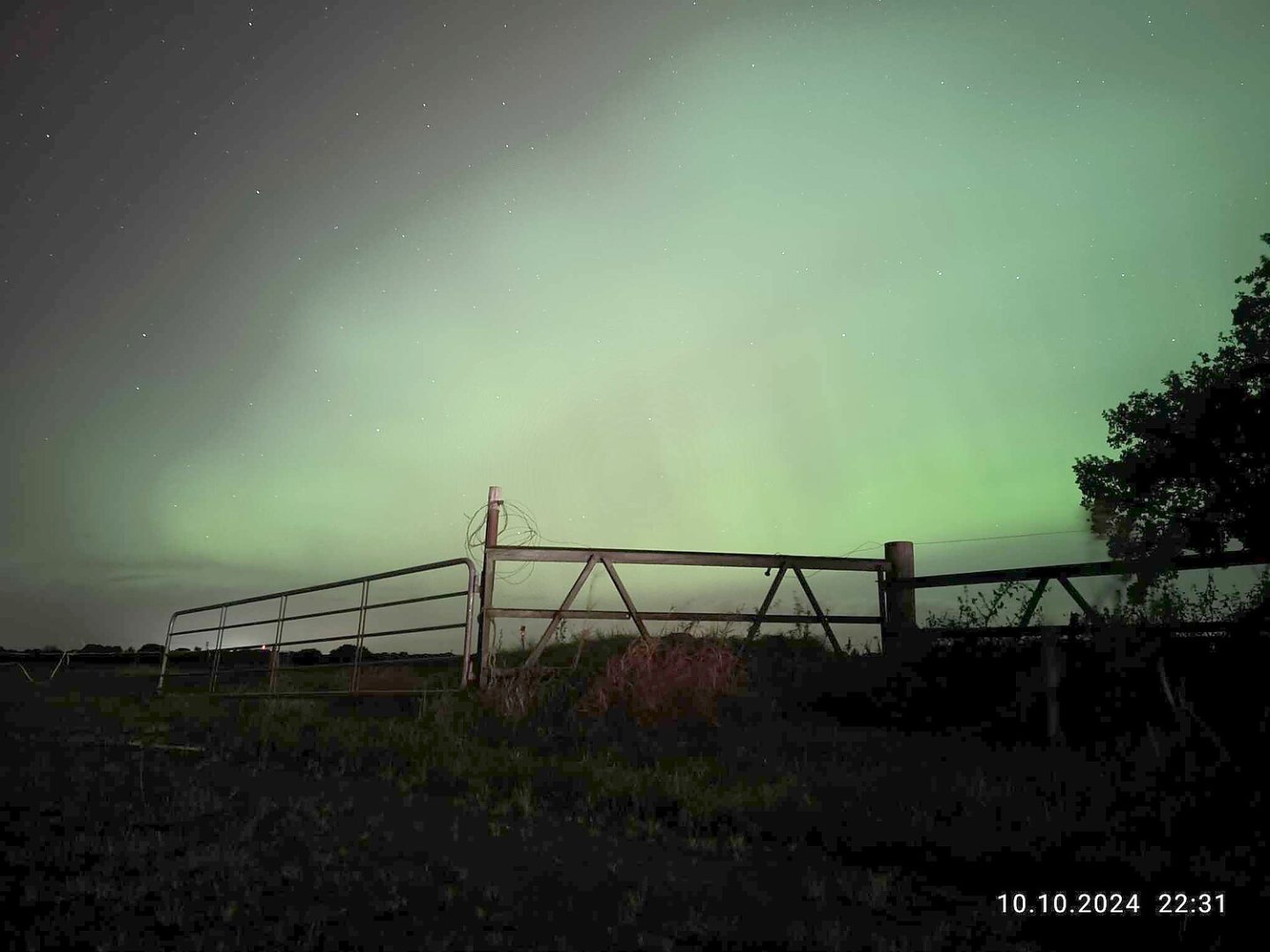 Die schönsten Polarlichter der letzten Nacht - Bild 33